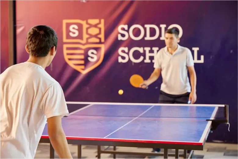Stol tennisi